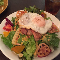 マディソン ニューヨーク キッチン - 