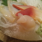 Bishokukashu Echigoya - 貝の刺身盛合せ（11/02/26）
