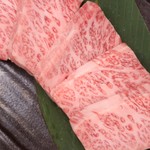 隠れ家焼肉dining あんじゅ - 極・三角カルビ