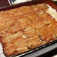 五代目 野田岩 麻布飯倉本店 - 野田岩　うな重　梅