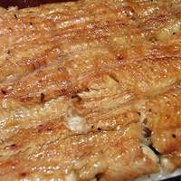 五代目 野田岩 麻布飯倉本店 - 野田岩　うな重　梅2