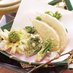 素材屋 - 【旬の味わい】春の山菜天ぷら　504円