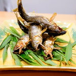 豪龍久保 - 安曇川あゆ