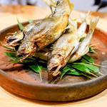 豪龍久保 - 四万十川あゆ