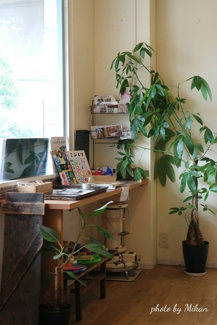 移転 桜かふぇ 道後公園 カフェ 食べログ