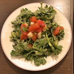 VECTOR BEER - 2017年（平成29年）春頃