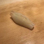 寿司 竹本 - やりいか