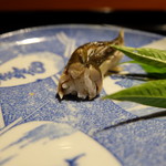 和しょく　えびはら - 稚鮎のお寿司