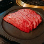 SATOブリアン - シンシン