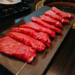 SATOブリアン - ヒレ