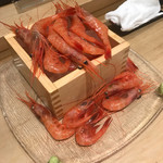 海鮮酒蔵 二三一 - 