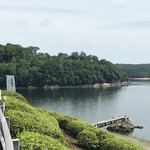 パイナップル - ちょっと明治村の建物が見えるがね〜♫❗️