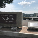 パイナップル - 世界かんがい施設だがね〜♫❗️