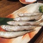 魚すこぶる 酒すこぶる どうどう 川口店 - 