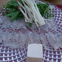 京料理 先斗町 富美家 - 