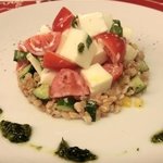 トラットリア 29 - 「モッツァレラとイタリア大麦のサラダ」