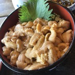 味処しゃこたん - 生うに丼