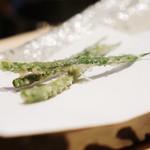 にい留 - 細いんげん