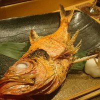 宇田川 紫扇 - 