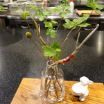 セララバアド - イケバナ　ハモン