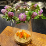 セララバアド - 花蜜