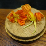 セララバアド - 花蜜