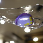 セララバアド - 蛍