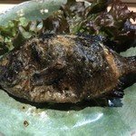 たこつぼ - やはぎ