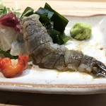 たこつぼ - 生の子持ち蝦蛄