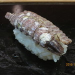 すし処 さいとう - シャコ