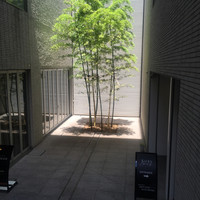ビフテキのカワムラ 六本木店 - 