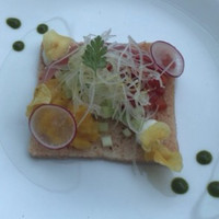 TRATTORIA CREATTA - 