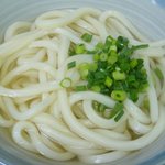 丸山製麺所 - うどんのアップ