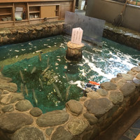 河太郎 中洲本店 - 