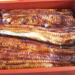 うなぎ亭 友栄 - 上うな重(鰻が大きすぎて重なっています)