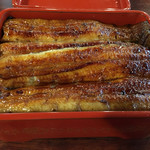 小川菊 - 特鰻重 4500円