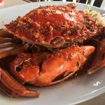 Harbor View Restaurant - 