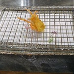 日本料理おおみ - えびの頭