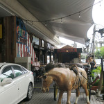 Crazy Cowboy - ペナン初ウエスタン・バー