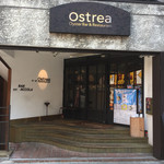 Ostrea - 