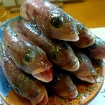 広起 - 鬼はぜピラミッド（2011年2月7日）