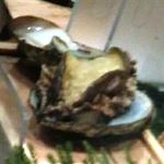 小笹寿し - 蒸しアワビ