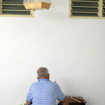 Hakka Tree - 鳥籠の下：お隣のお爺さん