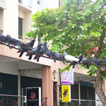 Starbucks - マンション前でお迎え待ち