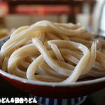 田舎うどん てつ - うどん