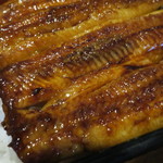 活鰻の店 つぐみ庵 - うな重