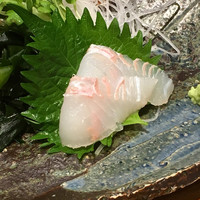 すし屋のさい藤 札幌本店 - 