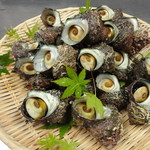 KAPPO　花咲季 - 