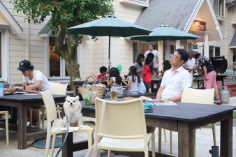 カフェ メロー Cafe Mellow 伊豆急下田 カフェ 食べログ