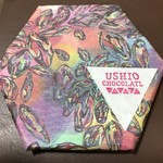 USHIO CHOCOLATL - 